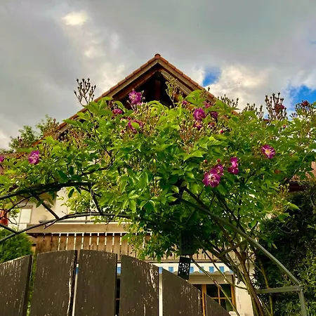 Apartamento Casa Banniza Wolfratshausen